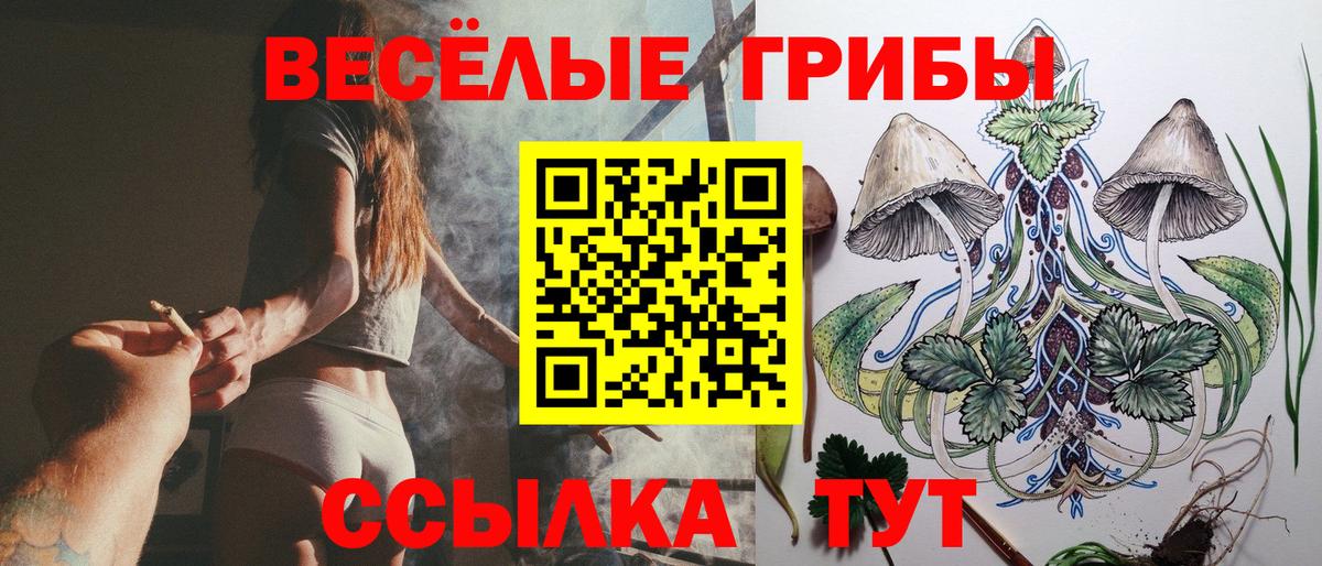 Псилоцибиновые грибы Psilocybe Коммунар