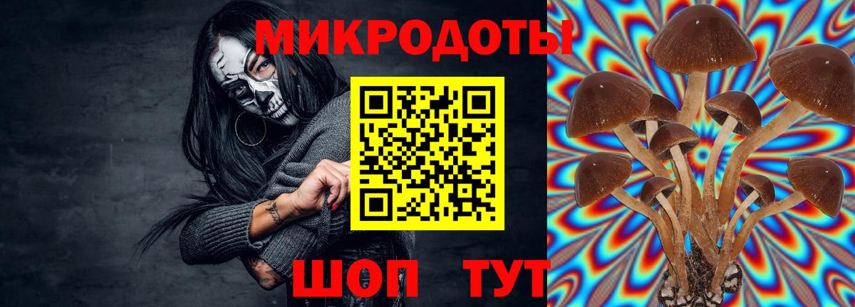 Коммунар  Галлюциногенные грибы MAGIC MUSHROOMS  Вход с VPN  Галлюциногенные грибы мицелий 